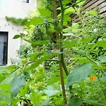 La Campagne A Paris B&B