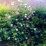 La Campagne à Paris B&B