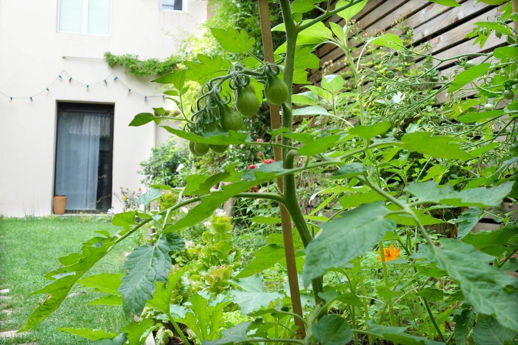 Bed & Breakfast La Campagne A