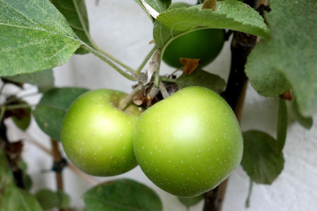 Bed & Breakfast La Campagne A 3*