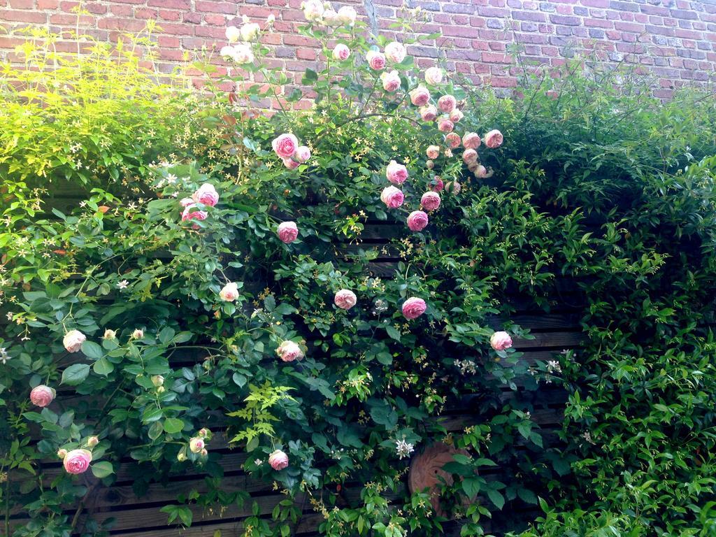 La Campagne A Bed & Breakfast 3*