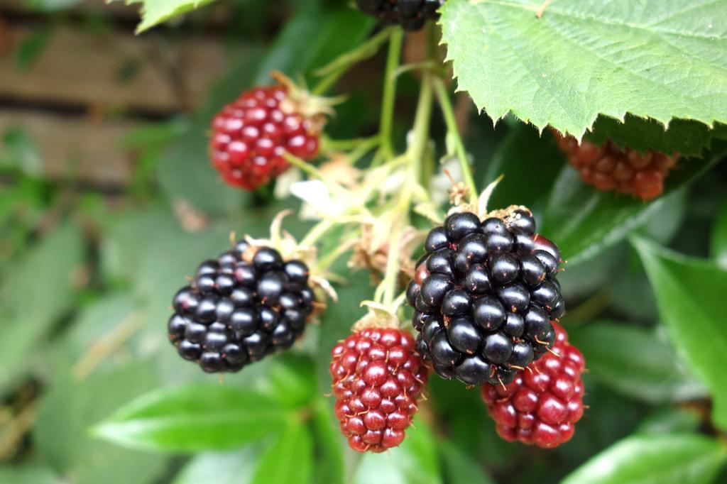 La Campagne A 3* Parigi